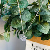 Colador Elegante con Patas de Plata – Acero Inoxidable