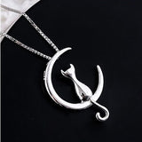 Colador Elegante con Luna Creciente y Gato