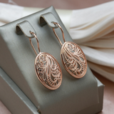 Pendientes Elegantes y Brillantes en Oro